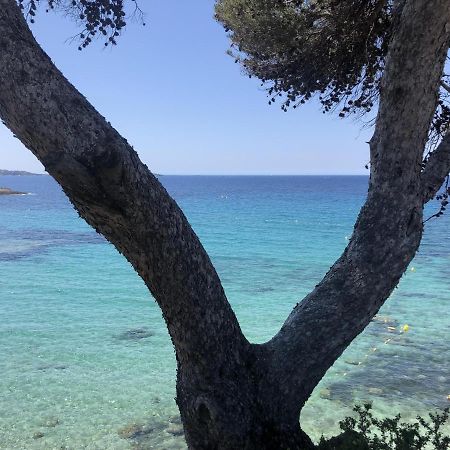 Les Baux 2 Sanary Sur Mer Eksteriør bilde