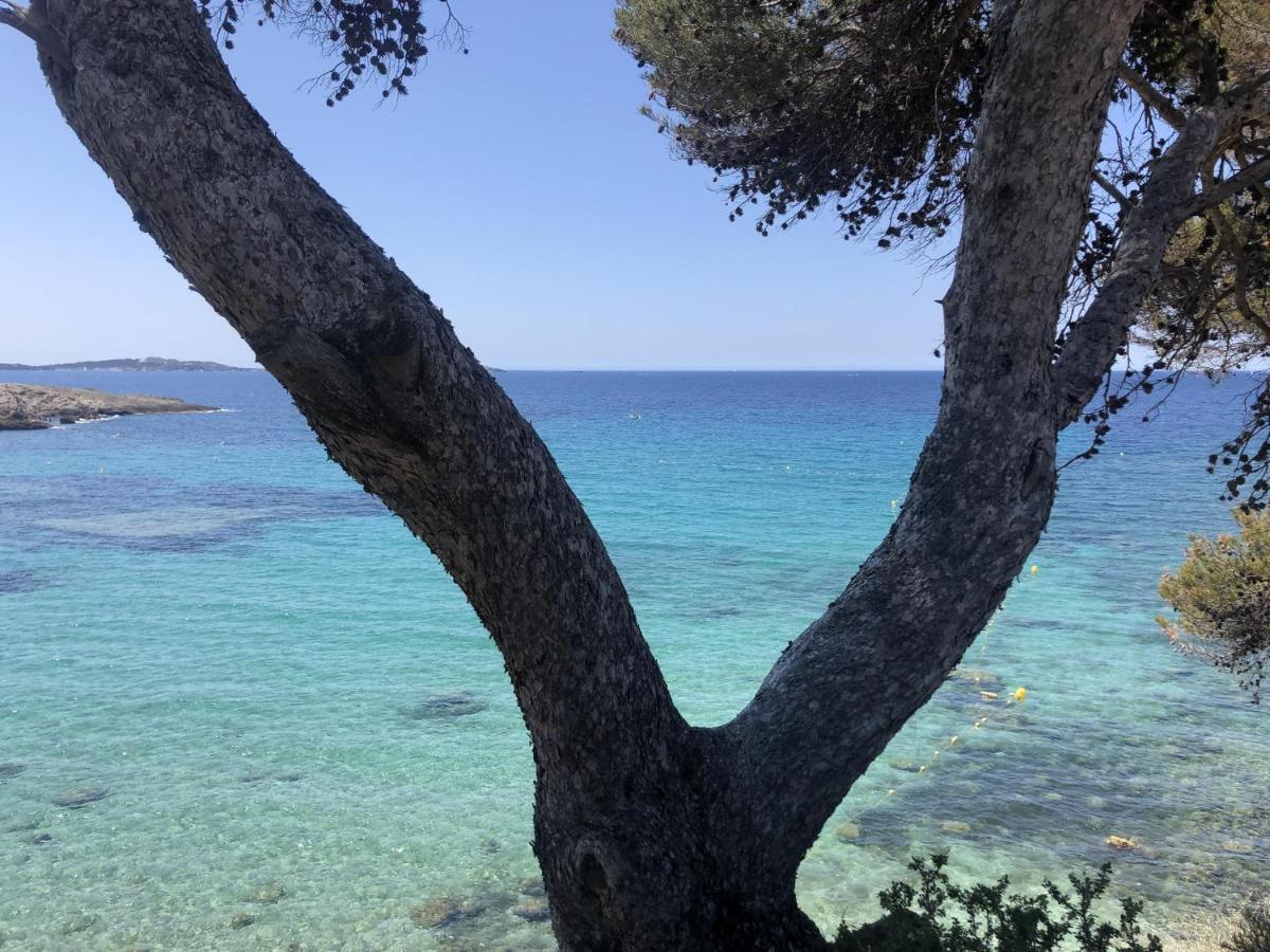 Les Baux 2 Sanary Sur Mer Eksteriør bilde